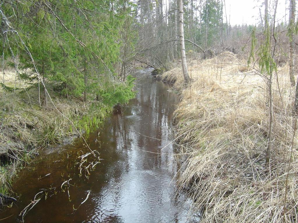 17 Kuvassa 13 uoma kulkee peltolohkojen välissä. Kuvassa näkyy hyvin toteutettu suojakaista pellon ja uoman välissä. Itse uomalle ei ole tarpeen tehdä mitään kunnostustoimenpiteitä peltoalueella.