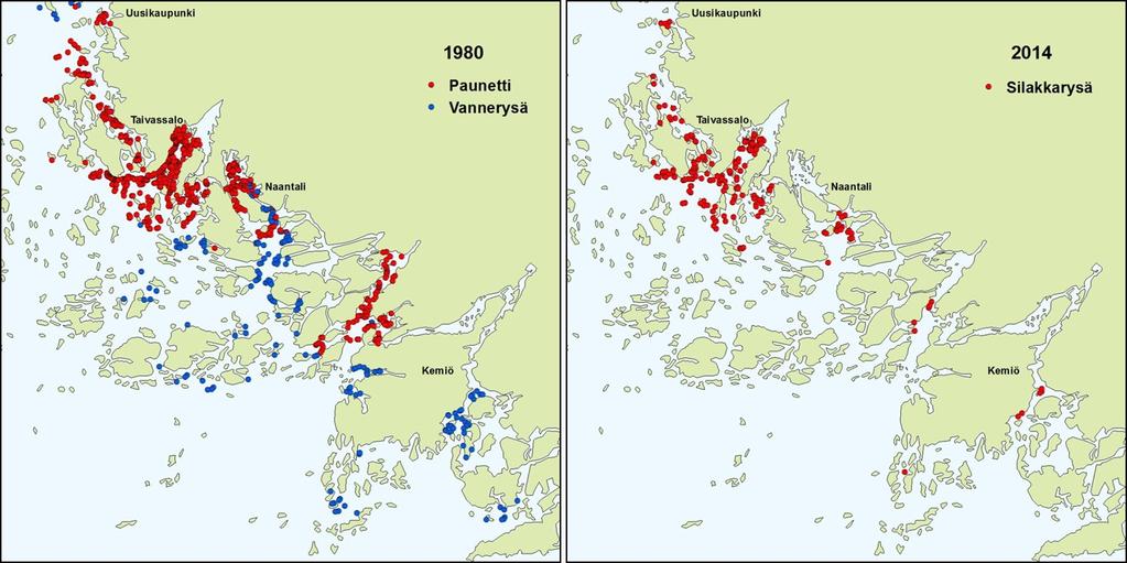 Silakkarysien määrä 798 kpl 203 kpl 50-luvulla n.