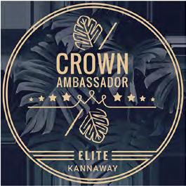 Crown Ambassador ansaitakseen MIG-palkkiota. Kun pätevöityy Regional-tasolle tai sitä korkeammalle, mutta ei Elite -asolle, ansaitsee AD- tai ED-tason mukaan riippuen pätevöitymisestä.