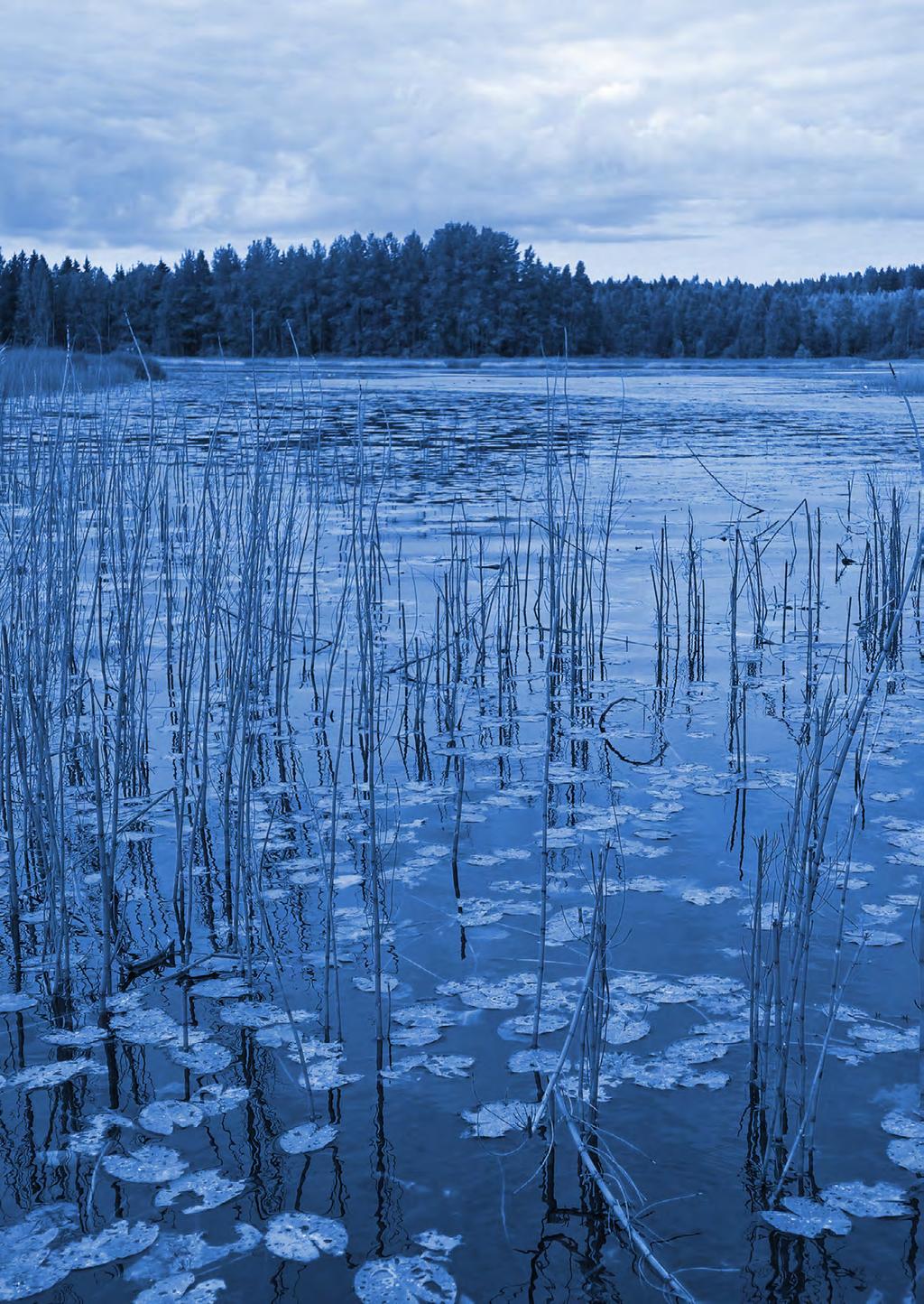 Ympäristön tilan