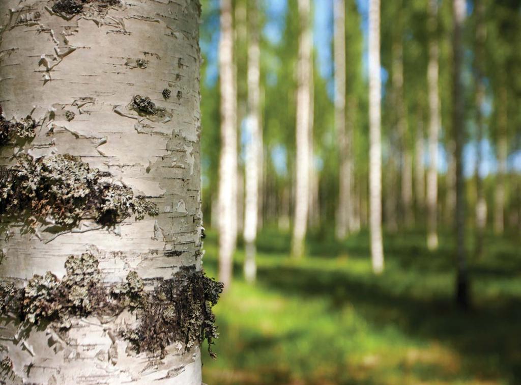 2 Etelä-Karjalan Jätehuolto Oy Etelä-Karjalan Jätehuolto Oy on Etelä-Karjalan yhdeksän kunnan omistama jätehuoltoyh ö.