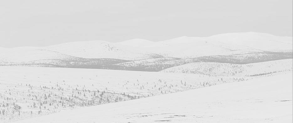 Elinkeinot: poronhoito, kalastus, metsästys sää Juhlat juhlapäivät, merkkipäivät Yhteisö: Roolit,