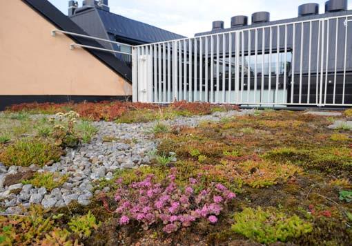 ohjekorttiehdotus 15 8 ILMASTONMUUTOKSEEN SOPEUTUMINEN RAKENNUSTASOLLA Rakennusten lämmitystarve vähenee, mutta viilentämisen tarve kasvaa.