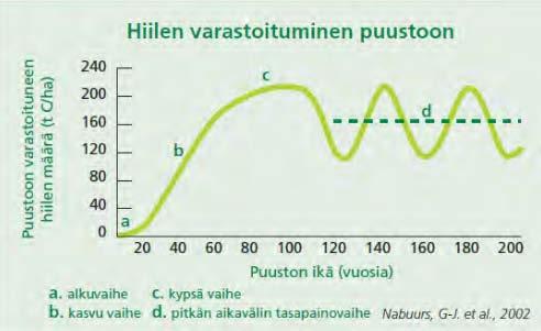 Jos metsän hiilivarasto kasvaa eli puuston kasvu sitoo enemmän hiiltä, kuin mitä hakkuut ja lahoaminen vapauttavat, se on hiilinielu. Jos varasto pienenee, metsä on hiilen lähde.