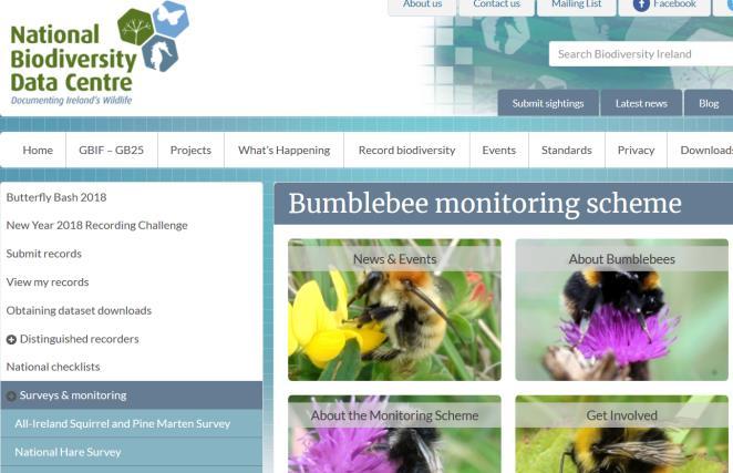 Kimalaisia seurataan linjalaskennoilla jo mm. Iso-Britanniassa ja Irlannissa http://www.biodiversityireland.ie/recordbiodiversity/surveys/bumblebee-monitoring-scheme/ http://www.beewalk.org.