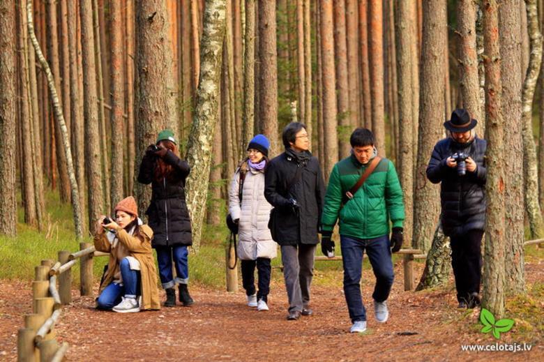 Japanilaisten matkailijoiden kiinnostuksen kohteet Rantalomien suosio on laskenut Kiertomatkailun ja kaupunkilomien suosio on kasvanut Modernit humanistit