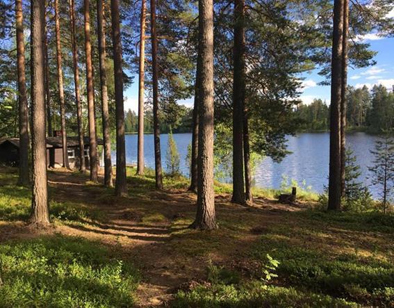 Mielikuvat ja tietämys Suomesta Yleisimpiä: Revontulet Muumit Lumi, kylmyys, jäätiköt, ilmasto, jää Puhtaus Sauna