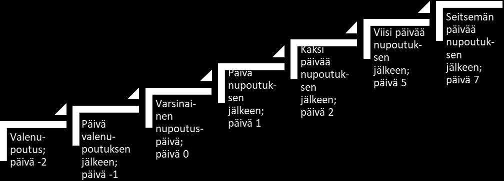 14 2.2 Käyttäytymisen videointi Vasikoita seurattiin videoimalla. Videoita kuvattiin 24 tuntia vuorokaudessa. Vasikat valokuvattiin ennen videointeja tunnistamisen tueksi.