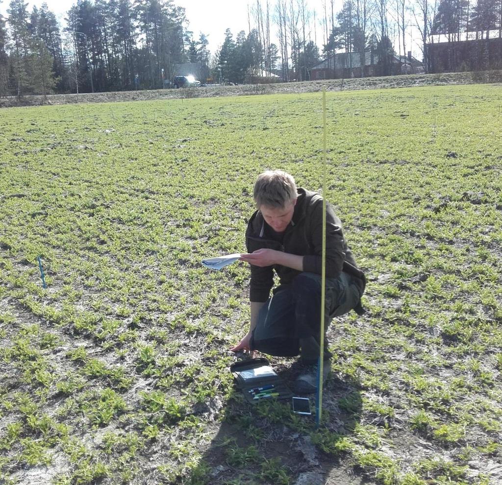 Satovuoden lannoituskokeet 2017