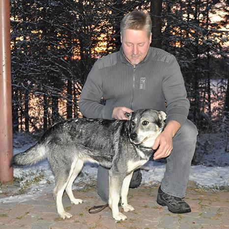 Savon Sanomien koirakilpailu Sarja 2, pystykorvat 1. Jämtlanninpk Hirvikärpäsen Cicilia 5 / 265,5 om. Hannu Stepanoff, Siilinjärvi 2. suomenpystykorva Karahkan Eka-Essi 5 / 236 om.