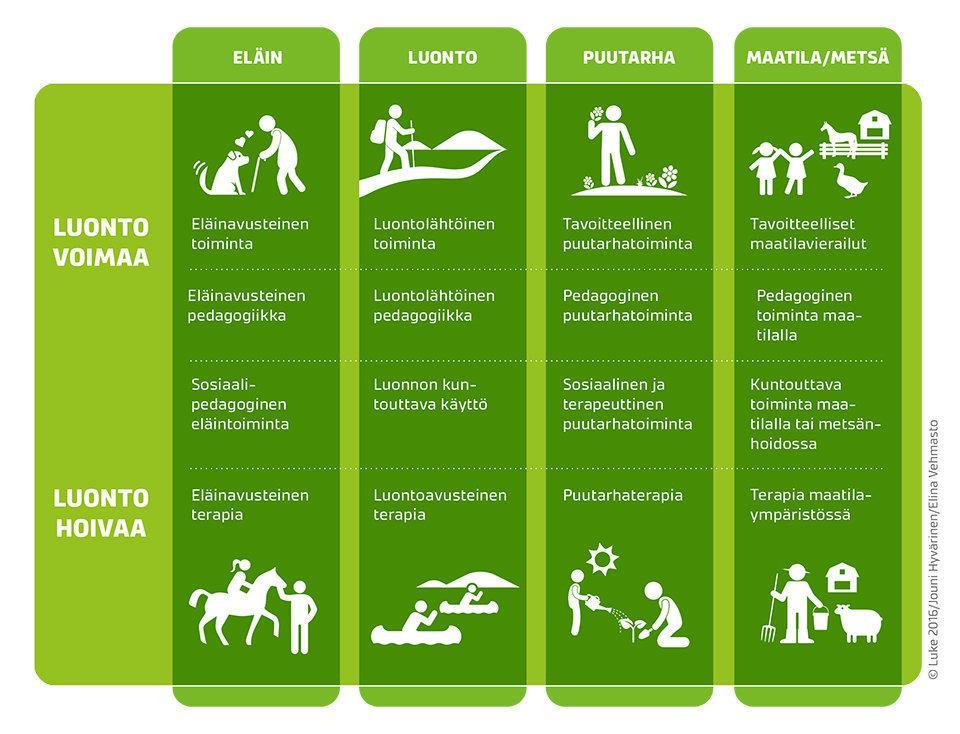 16 KUVIO 3. Green Care -menetelmien jakautuminen Luontovoiman ja Luontohoivan alueille. (Lähde: Green Care Finland ry i.a.d) Eläinavusteisista menetelmistä koulutuksen käyneiden ammattilaisten toteuttama ratsastusterapia on Suomessa tunnetuin eläinavusteisen terapian muoto.
