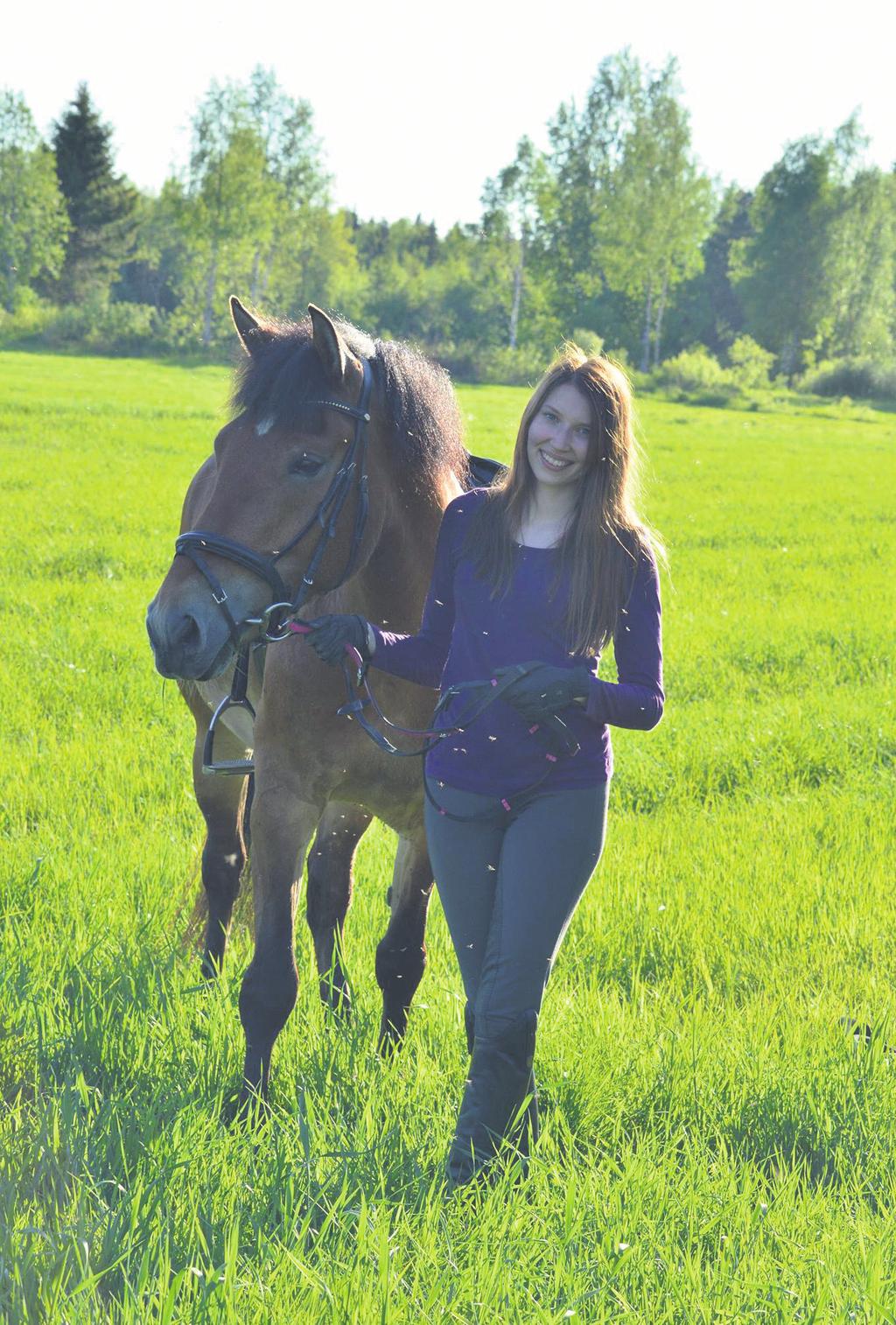 SIVU 8. M A A L I S K U U TA 0 19 Kavionjälkiä Pyhäjoella HEIDI SAARIO Vuodesta 1994 on tehty neljän vuoden välein tutkimuksia ratsastuksen suosiosta.