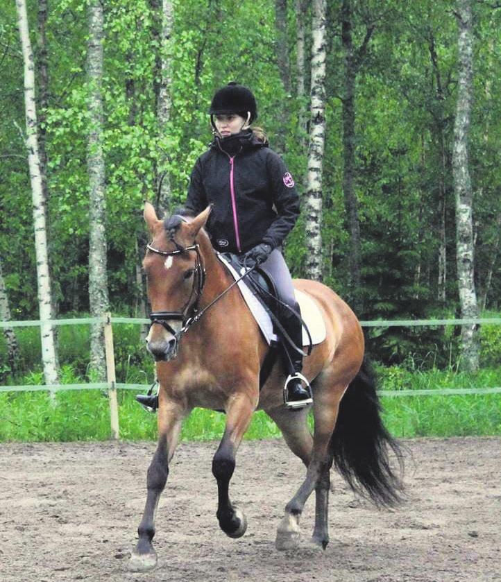 Viime aikoina lajin pariin onkin palannut useita, kuvailee Koivukangas.