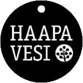 kaupunginvaltuusto hyväksynyt.
