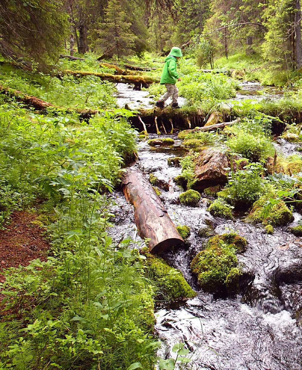 LUONNON VIRKISTYSKÄYTÖN JA MATKAILUN KESTÄVYYDEN SEURANTA 2018 Hossan kansallispuisto Kolin kansallispuisto Ylläs Pallastunturin kansallispuisto 2019 Urho Kekkosen kansallispuisto Pyhä-Luoston