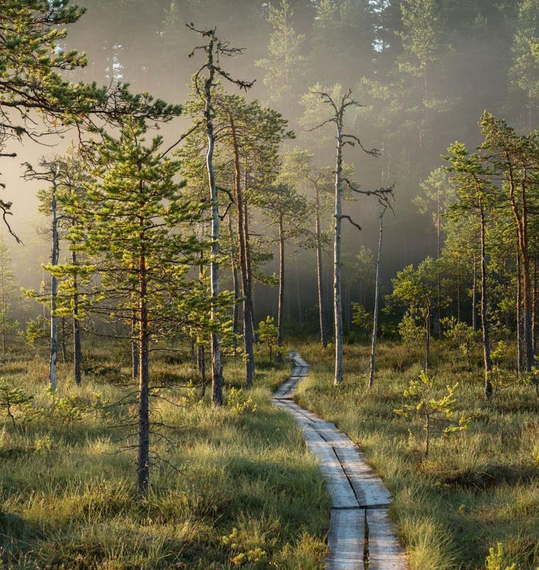 MATKAILUN YHTEISTYÖN KEHITTÄMINEN METSÄHALLITUKSEN LUONTOPALVELUISSA 2019 Yhdenmukaiset ja sujuvat periaatteet matkailun yritystoiminnalle suojelualueilla.