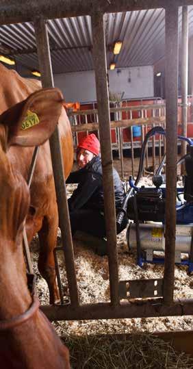 DeLaval siirrettävä lypsy-yksikkö PMU PMU on joustava varajärjestelmä kaikille lypsylaitteistoille. Se on luotettava, hiljainen ja kestävä kokonaisuus.