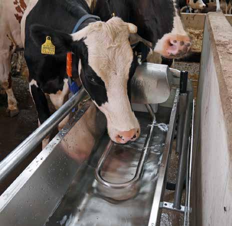 Juoma-allas T80 ja T80XL Järeä juoma-allas lattia- ja seinä-kiinnitykseen. Altaan voi kipata, jolloin pesu sujuu nopeasti. Suuri juomapinta-ala varmistaa, että lehmät saavat helposti vettä.