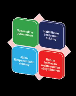 Säilörehun tuotantokustannusten ja laadun merkitys maitotilan taloudelle on kuitenkin merkittävä. Laadukas säilörehu säästää ostorehukustannuksissa ja parantaa karjan keskituotosta.