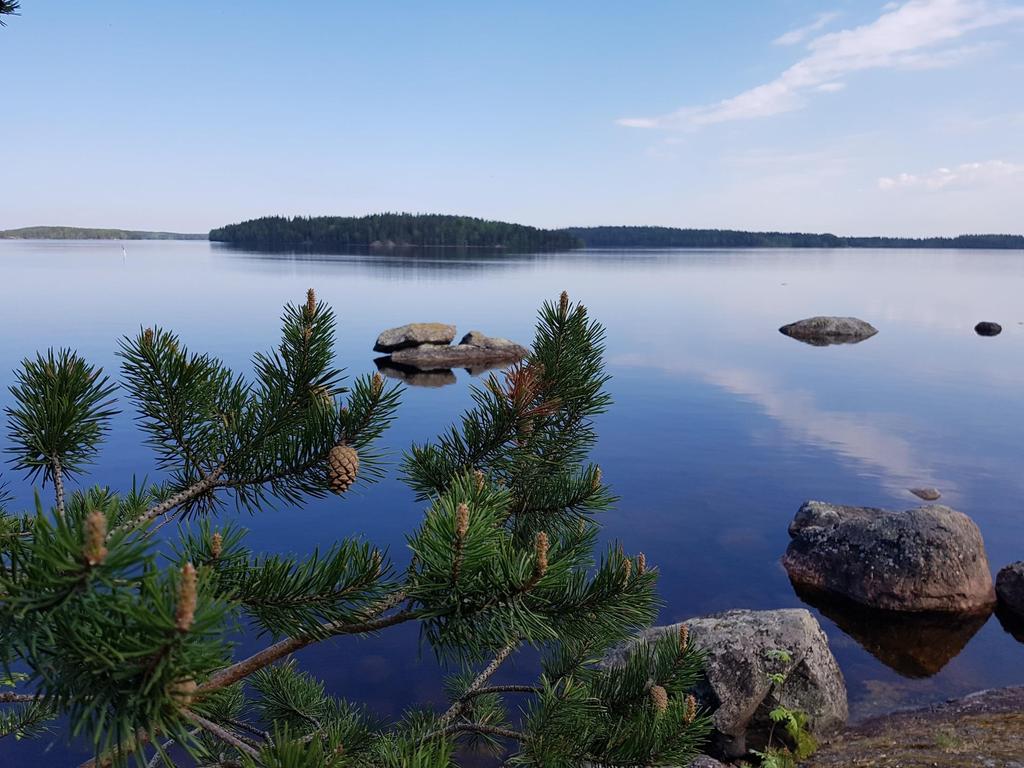 Geokohde 2 Lammassaari Imatra/ Heli Rautanen Saimaa Geopark ry Fennoskandian vihreä vyöhyke seminaari 23.5.