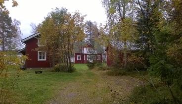 JAALANKA HONKARANTA (Kuva: Kirsti Reskalenko 2016) (Kuva: Kirsti Reskalenko 2016)