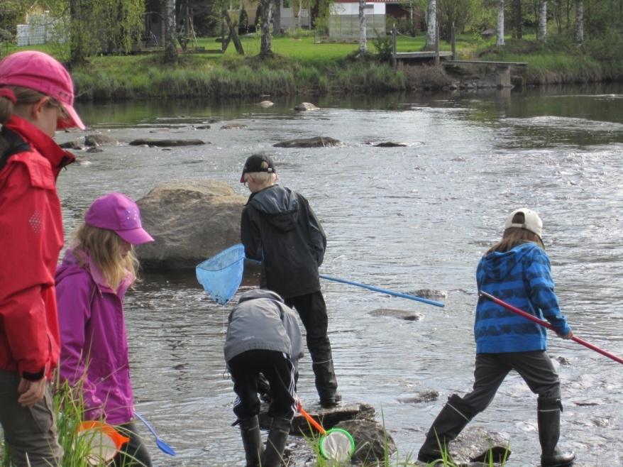 Ajankohtaista ympäristökasvatuksessa Satakunnan ympäristötietoisuus ja -kasvatusverkosto seuraava kokous alustavasti ma 14.1.2013 klo 9.