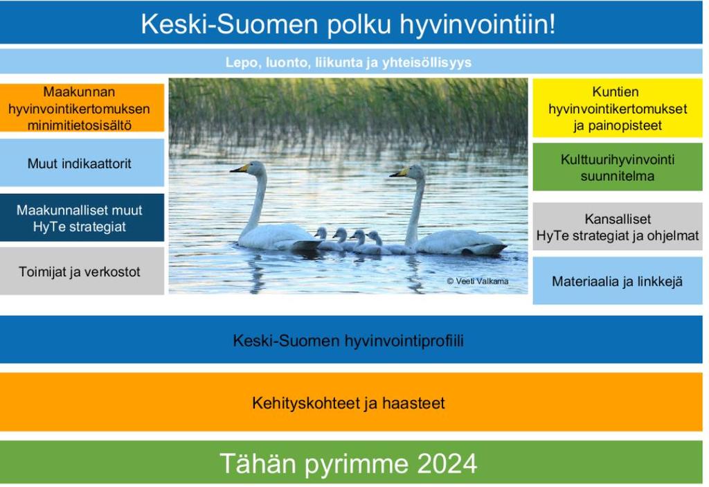 Mitä pitäisi huomioida jatkossa Kuntien ja alueellinen HyTe työ vahvempi yhteys strategiseen johtamiseen työ- ja toimintakyvyn tukeminen kuntien väliset erot Tiedolla johtaminen tiedon louhinta eri