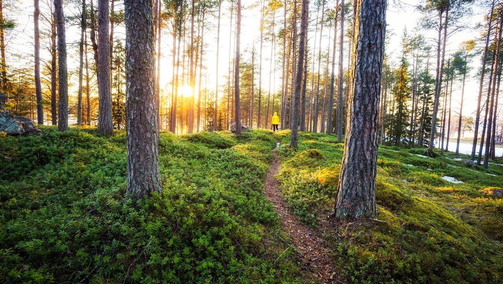 JÄRVI-SUOMI Kaikki matkailijat Järvi-Suomessa &