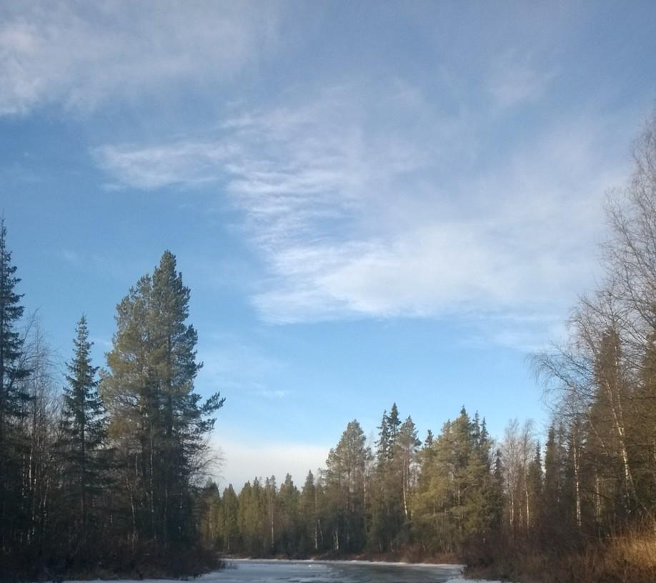 1 JOHDANTO JA TOIMEKSIANTO Agnico Eagle Finland Oy (AEF Oy) on toimittanut patoturvallisuusviranomaiselle rikastushiekka-altaan (NP3) patosortuman vahingonvaaraselvityksen lokakuussa 2014.