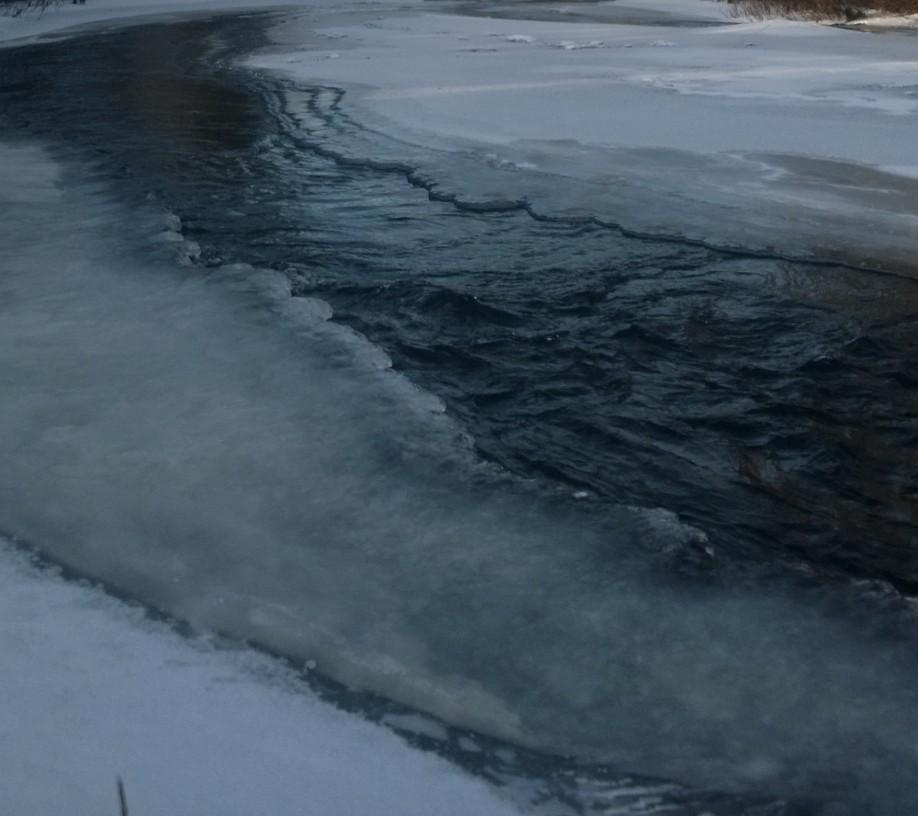 Täydennyksessä tulee arvioida millainen vaikutus sortumalla on Seurujoen vedenlaatuun ja kalastoon.