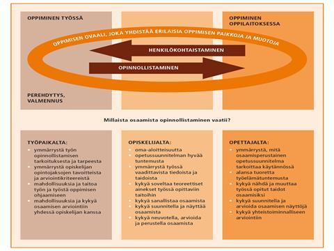 3 amk-opintojen ketteröittämisestä ja työssä oppimisesta. Oppimisen ovaali kuviossa 1. osoittaa opinnollistamisprosessin tarkoituksen. Kuvio 1.