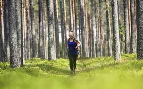 Alueella on retkisatama, josta pääsee helposti Oulujärven retkeilyalueelle.