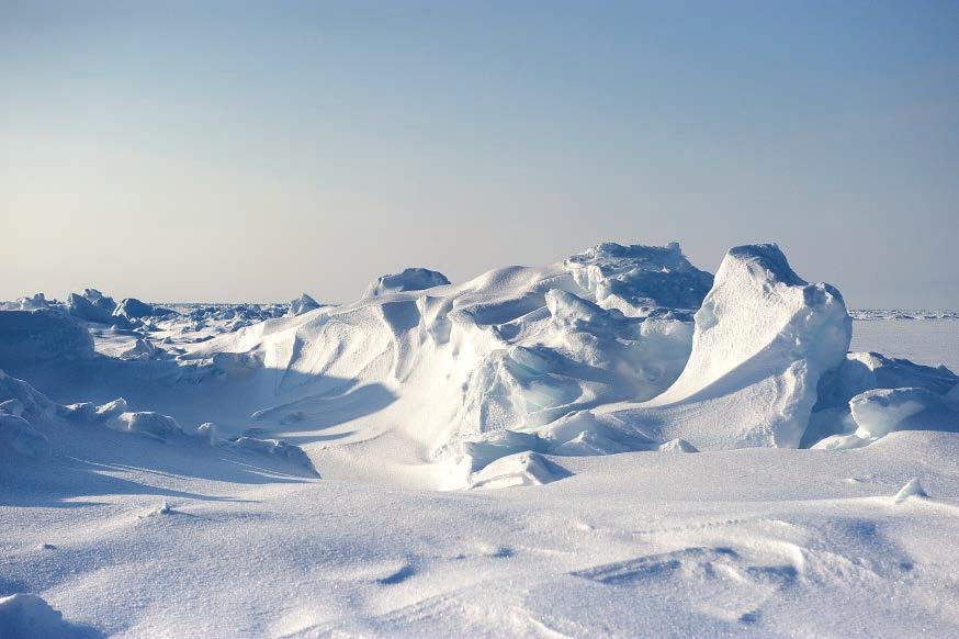 NÂJINIK Kaujijausimajut Kaujisannikut sakkititsisimavut angijummagimmik ilingajunik inuit inosinginnut, paitsigiamut pilukattailititsigiamullu, ulugianattumejut sanajausonit ammalu paigijaugiakavut