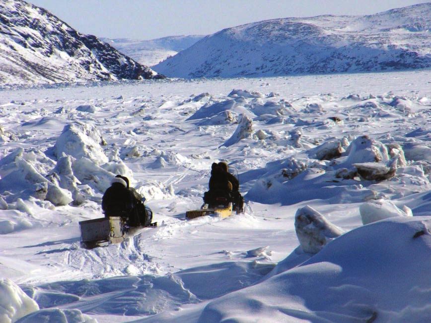 UNUTTUIT KITITANGIT INUIT ILAGET SUGUSINGILLU NIKITSAKATSIAKATTANGITUT UKAUTJIGIAGUTET (ALLAKAUTIK): Pitâsongugiamik inositsiaginnatunik nikitukanik angijumik Kanuttogutiuvuk.