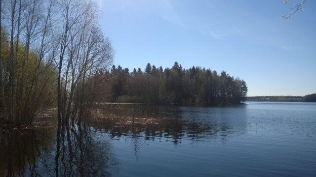 Valtaosa läntisestä muutosalueesta on pihapiiriä ja sen taustametsää joka itäisen muutosalueen lisäksi on pääosin varttunutta koivuvaltaista metsää. Keväällä 2018 alava alue oli veden valtaama.