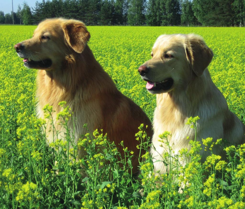 Tuusula Summer Show KAIKKIEN ROTUJEN NORD KOIRANÄYTTELY 6.-7.7.2019 Lauantaina 6.7. FCI:n ryhmät 2, 4, 6, 8 ja 9 Sunnuntaina 7.