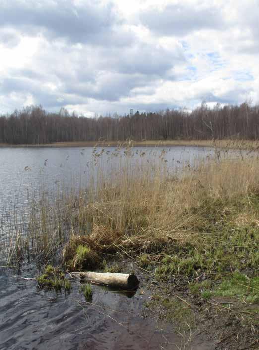 länsipäässä on