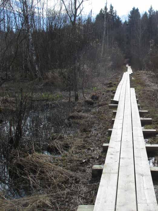 lisääntymispaikka.