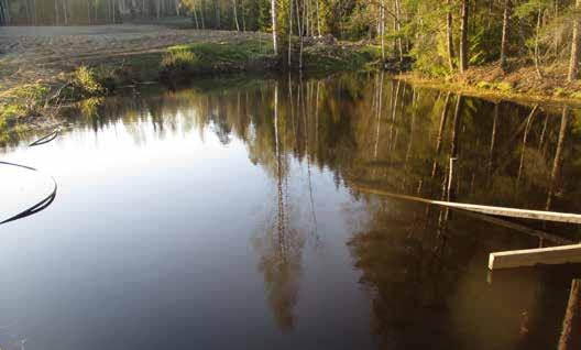 Kuutamotien pohjoinen metsälampi.