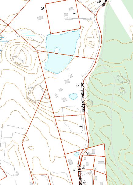 Kesäkylä Kesäkylässä on yli 100 metriä pitkä lampi, jonka rannat vaikuttavat sammakoille suotuisilta.