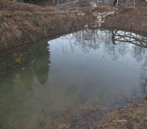 klo 20-21 aurinkoista +5 Ankkalampien ja Korson liikuntapuiston välissä on