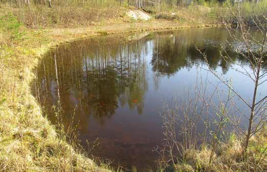 Pohjoisin pieni lammikko on sameavetinen, eikä siinä ole sammakoita, mutta läntisin mäen päällä oleva