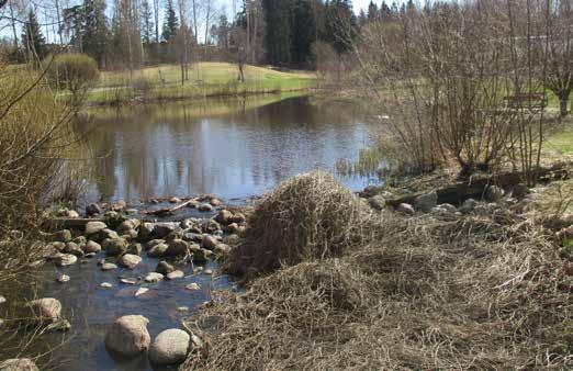 49 Varistonoja virtaa sen verran vuolaana, että