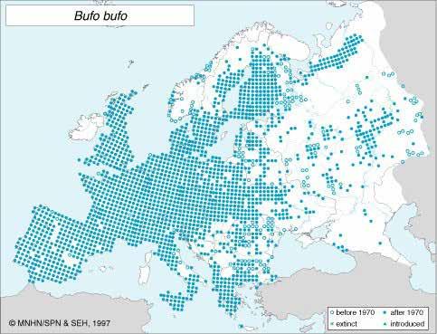 Rupikonna Kuten muutkin Suomessa tavattavat sammakkoeläimet, rupikonna on Euroopassa (Gasc ym. 1997) laajalle levinnyt laji, joka on täällä esiintymisensä pohjoisrajalla.
