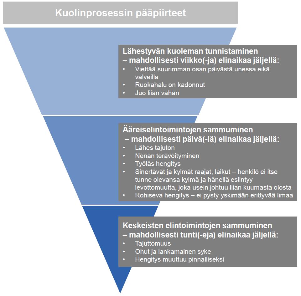 7.4.1 Kuolinprosessin pääpiirteet Kuolinprosessin kolme päävaihetta on esitetty kuviossa 4.