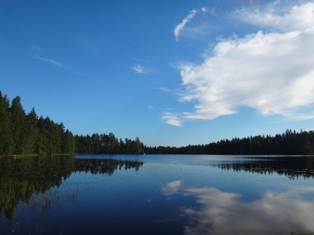 2 / 3 Kuva 2. Säynäislammi 3.8.2016. Kuva: Arto Muttilainen. Järven tilan arvioinnissa keskeisimmät tekijät ovat yleensä happitilanne ja rehevyyttä määrittelevä ravinnetaso.