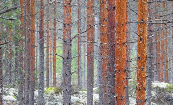 järjestöt, seurakunnat yhdessä Tukea tarvitsevaa ihmistä ei auta seikkailu