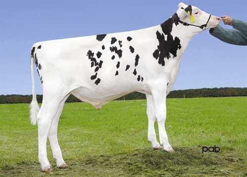 Living SUMMERLIZ LIVING 0200HO06573 EPIC x MAN-O-MAN x SHOTTLE GENERVATIONS EPIC SUMMERLIZ MAN O MAN LAUSYA VG-85-2YR-CAN 6* LONG-LANGS OMAN OMAN SUMMERLIZ LAUSYNA SHOTTLE