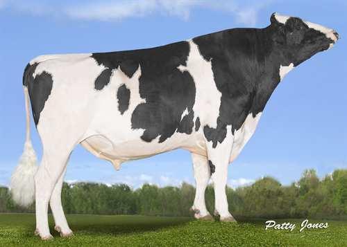 Aptitude BOLDI V APTITUDE 0200HO10372 DAVINCI x EPIC x MAN-O-MAN DE-SU MG DAVINCI 11288 BOLDI V S G EPIC ASTER VG-85-2YR-CAN 4* GENERVATIONS EPIC VELTHUIS SG MOM ALESIA