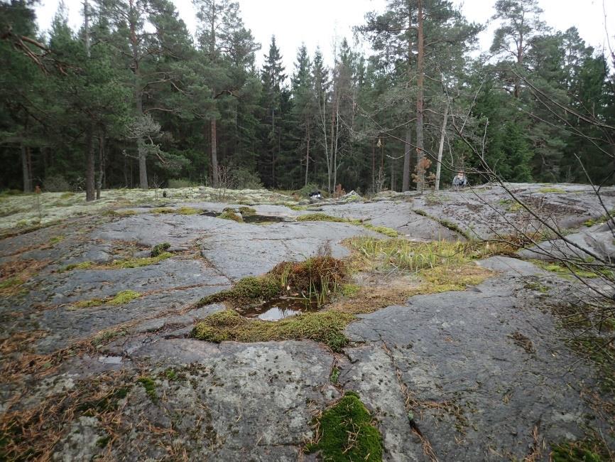 Kallioaluetta kuvattuna kaakkoon.
